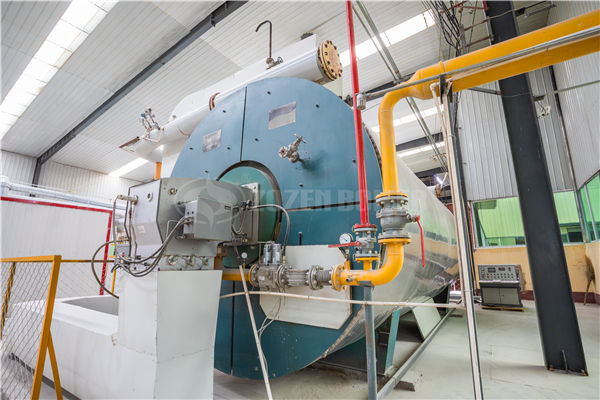 58MW DHW系列大型往复炉排燃煤热水锅炉项目（龙港区供暖）